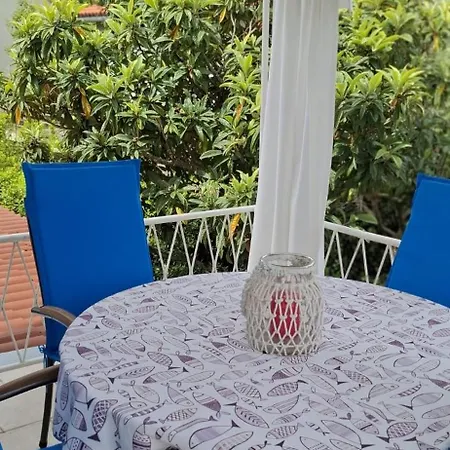 Apartment Maslina *
